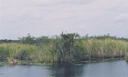 010-Everglades National Park